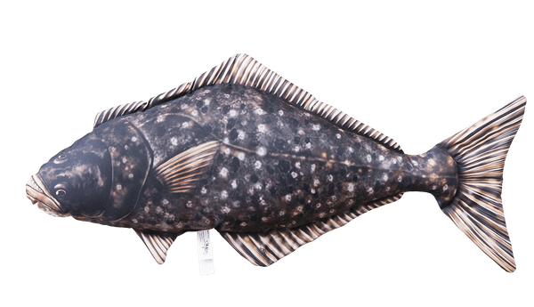 Bilde av Fiskepute - Kveite - 72 cm lang