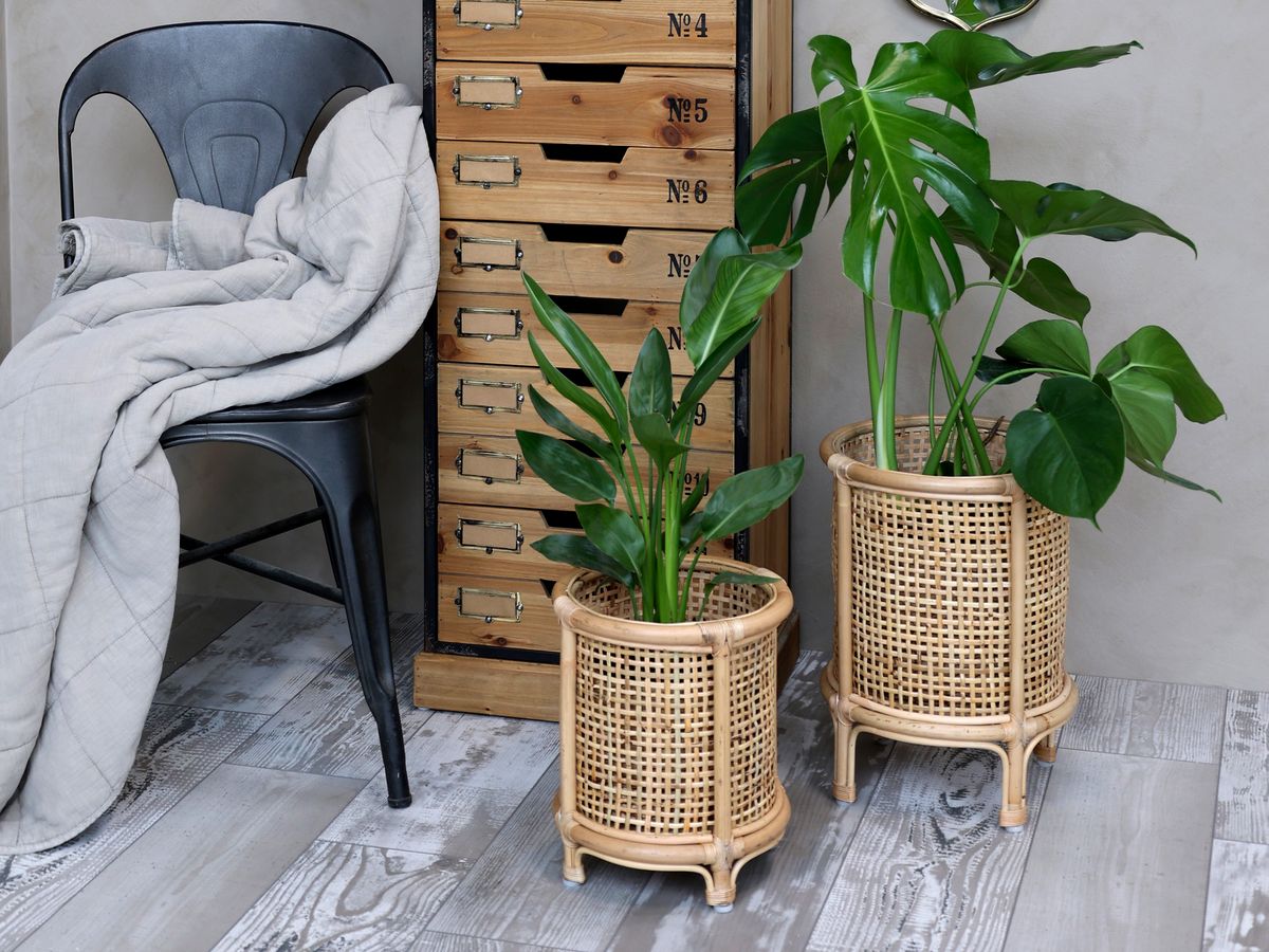 Rotting potteskjuler fra Chic Antique
